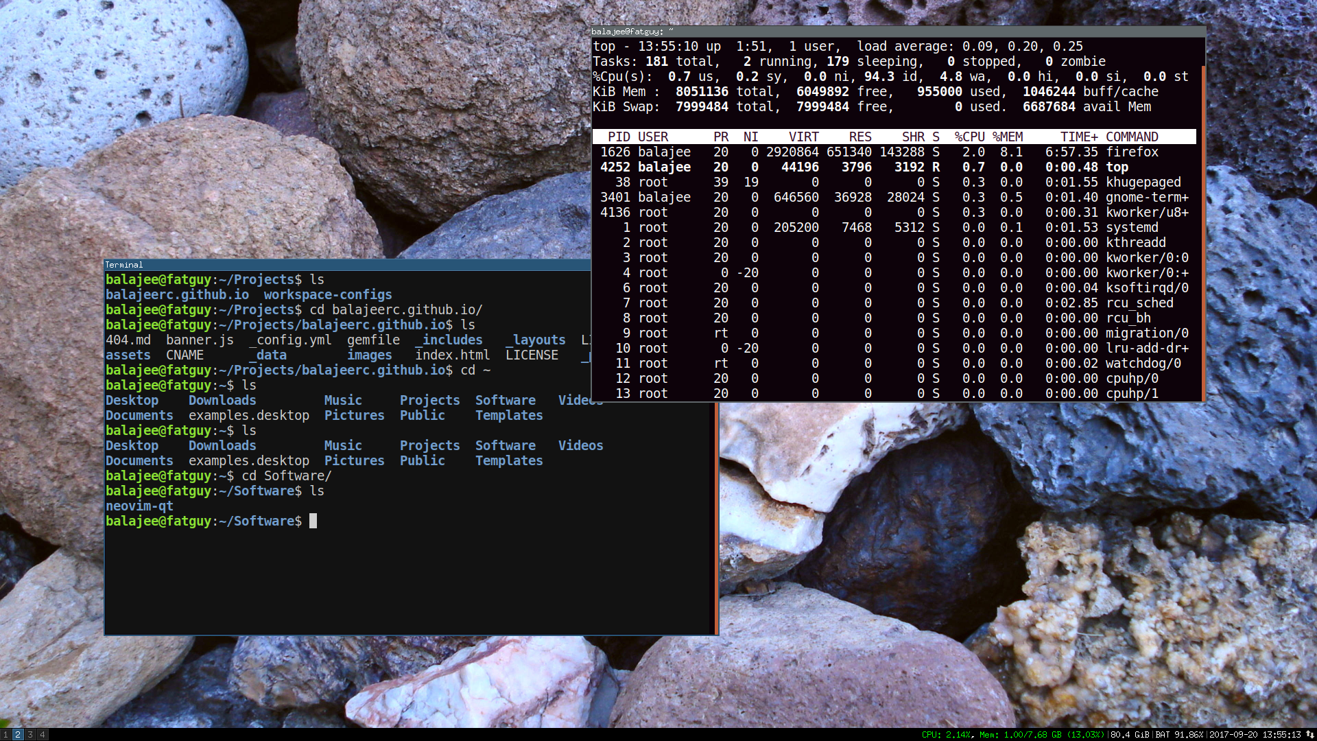 nvim as terminal emulator